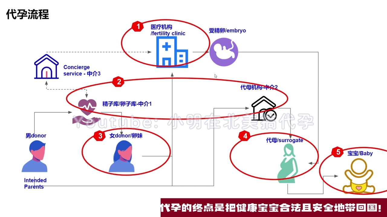 小明在北美搞代孕03 - 各国代孕成本大揭秘
