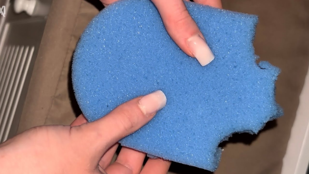ASMR Dry chew💙 