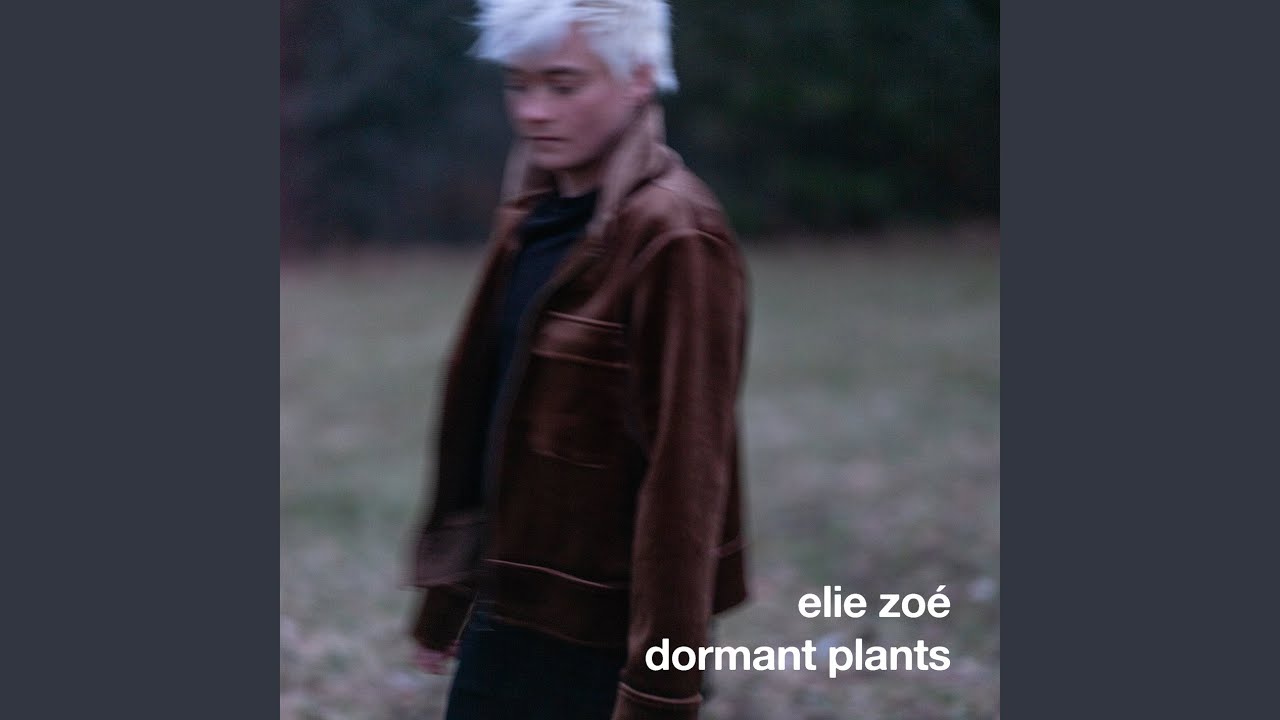 dormant plants