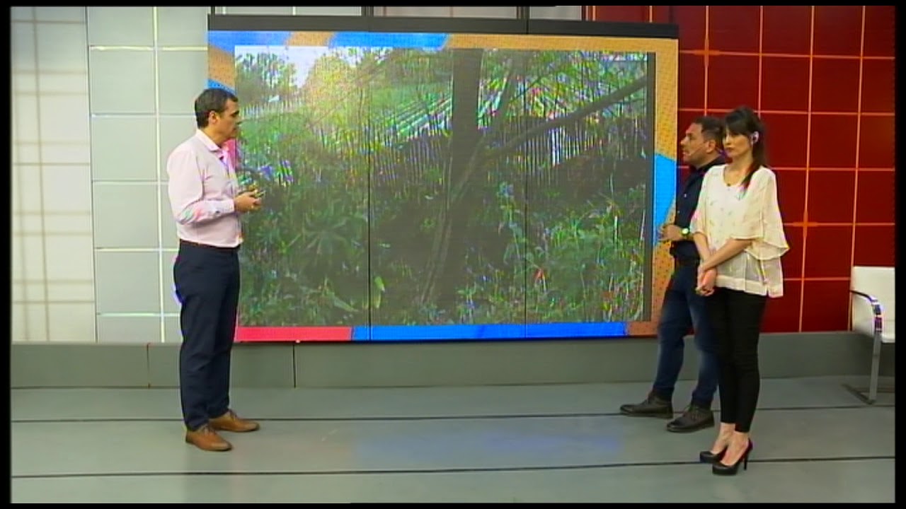 Encontraron dos cuerpos en la Ruta de la Quebrada de Lules