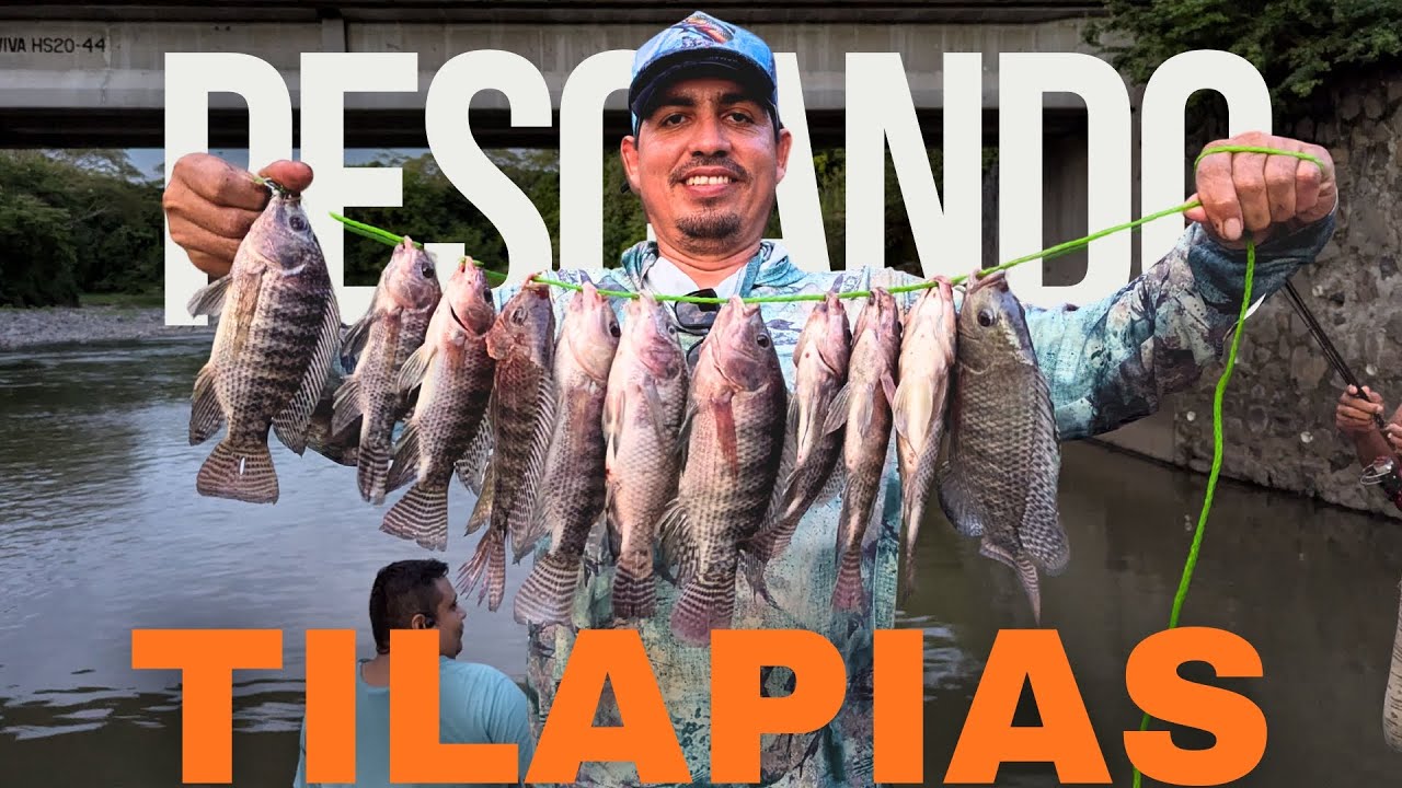 ¡Pesca Épica! Sacamos Tilapias Gigantes del Río 💥🎣🐠