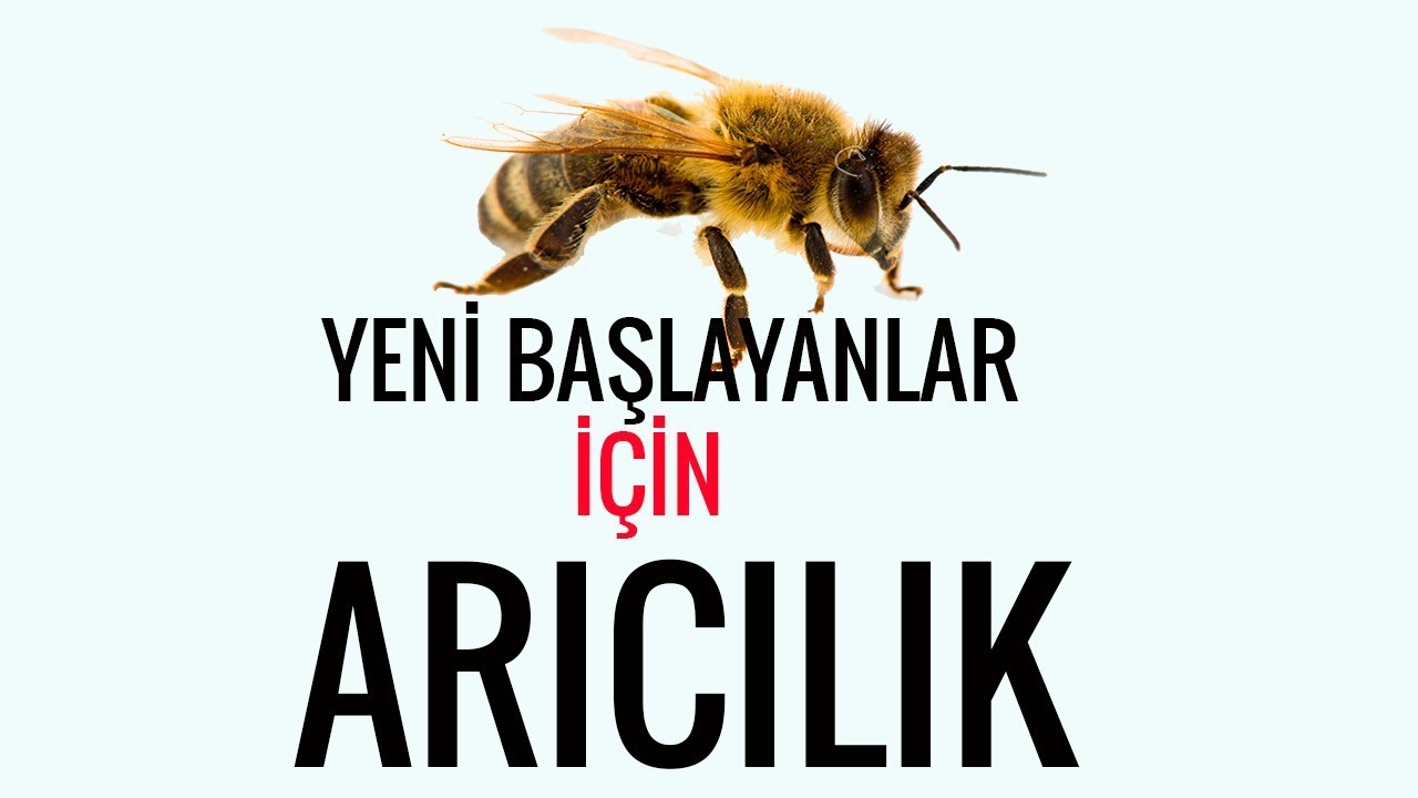 ARICILIĞA YENİ BAŞLAYANLAR İ&Ccedil;İN TEMEL BİLGİLER