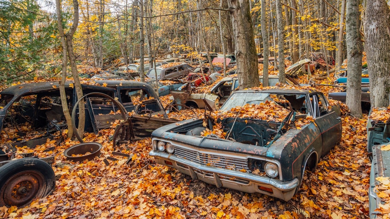 I found a Forest Filled With 100's of ABANDONED Classic Cars *WHAT HAPPENED HERE?!?*