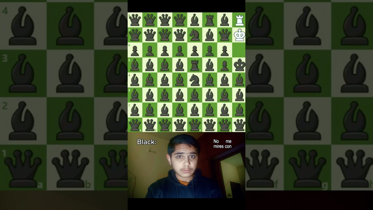 Can you find it??