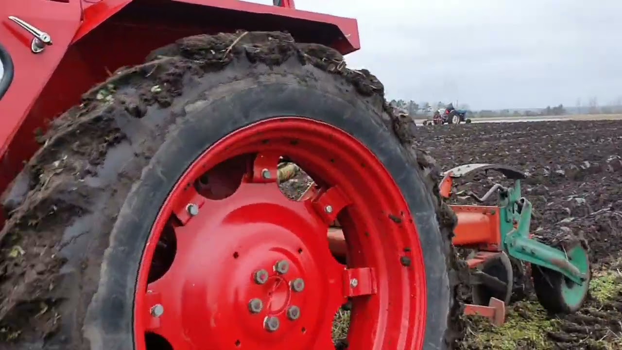 Pl&oslash;jedag 2024 Rebild Veterantraktor