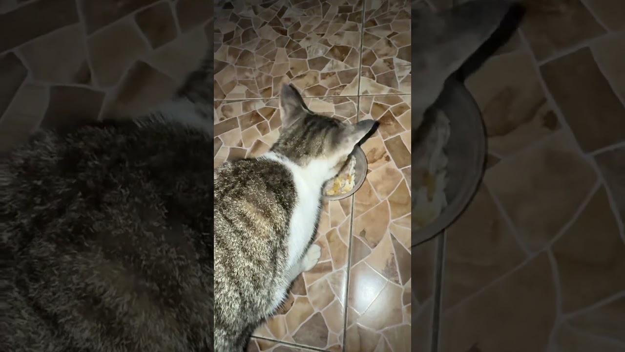 Makan malamnya manis 