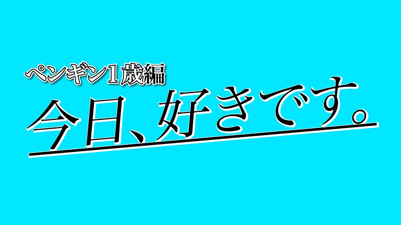 【今日好きです/第２弾】あの２人が継続で帰ってきた！？そして衝撃のラストに全員〇〇。