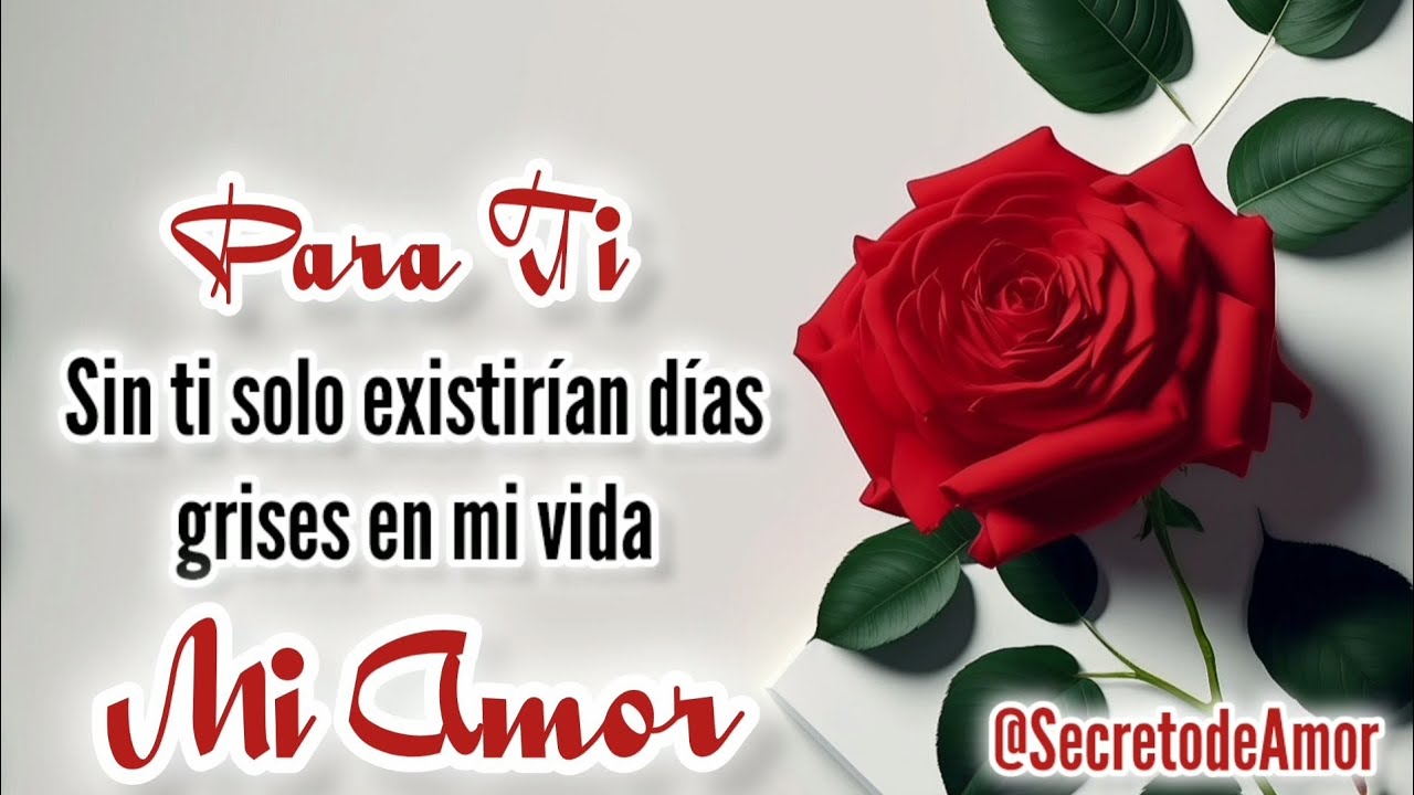 PARA TI sin ti solo existirían días grises en mi vida MI AMOR