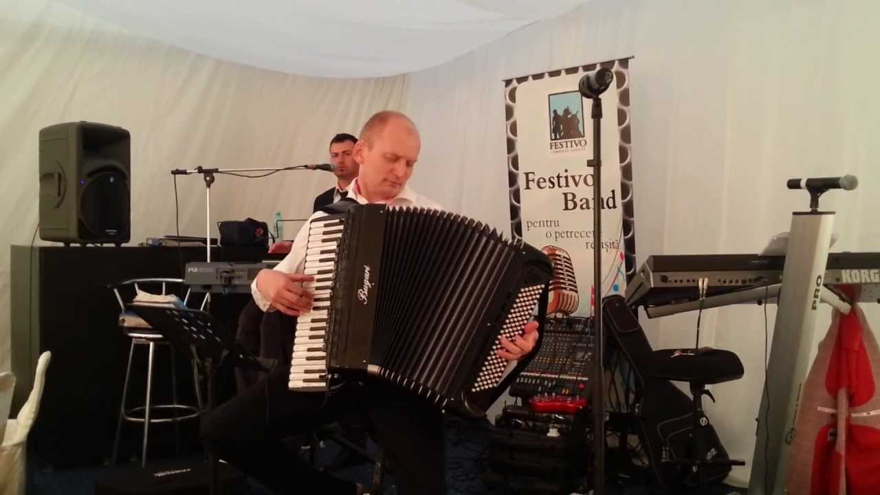 Christophe - Aline ( accordion cover by Festivo Band)