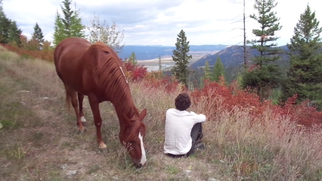 Riding a mustang at liberty in Montana USA (Matthias Geysen)