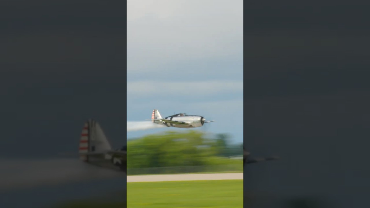 Beautifully restored Republic razorback P-47D 