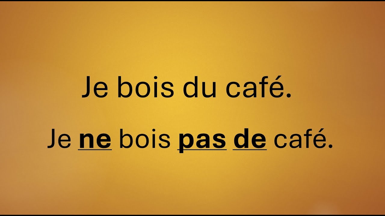 Transformez 60+ phrases à la forme négative (ne /n' ...pas) en français