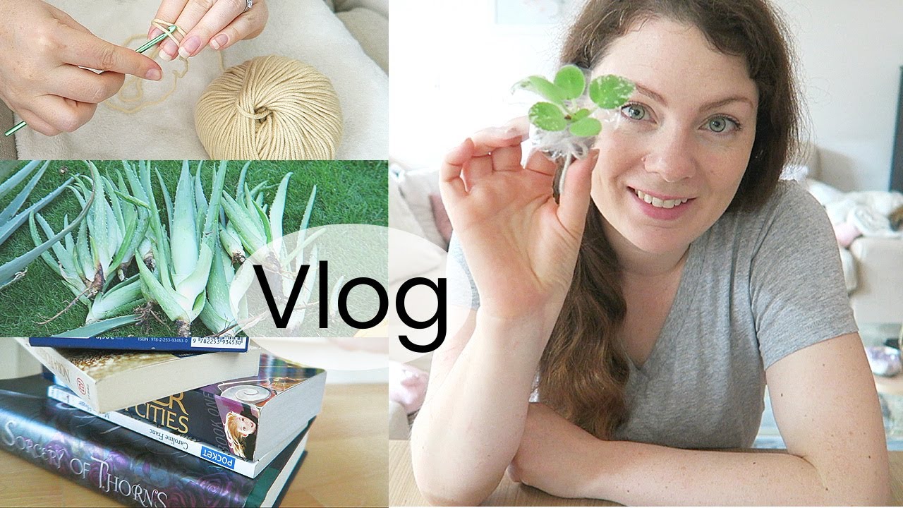 VLOG - Jardinage, envoi de boutures et Pumpkin Autumn Challenge | Une semaine ensemble