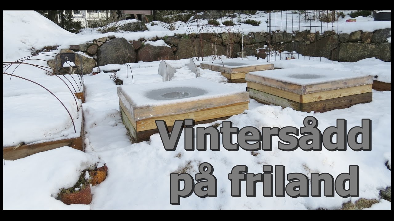 v&aring;rvinters&aring;dd p&aring; friland
