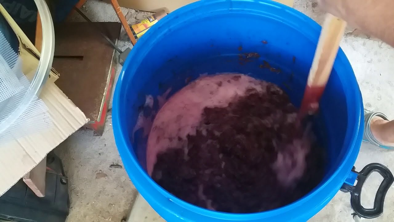 VINO CASERO: Así hice el mío en Córdoba, Argentina
