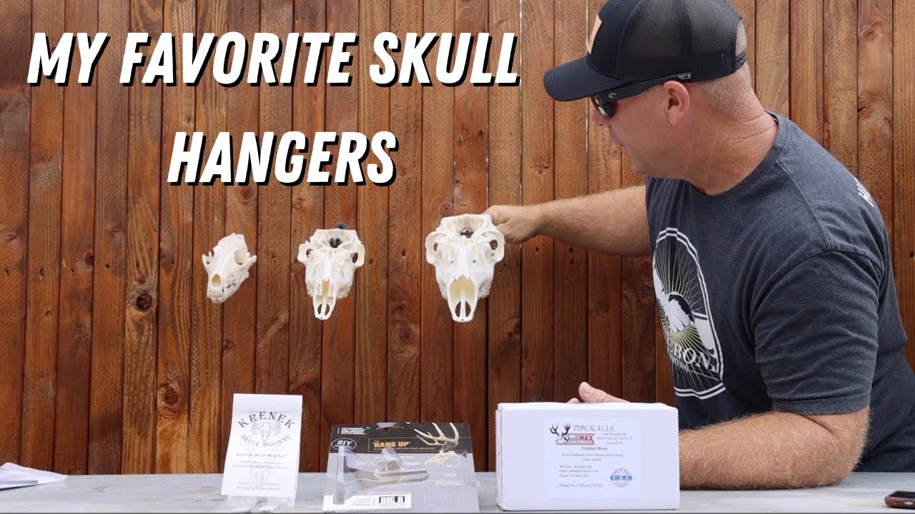 MY FAVORITE SKULL HANGER BRACKETS