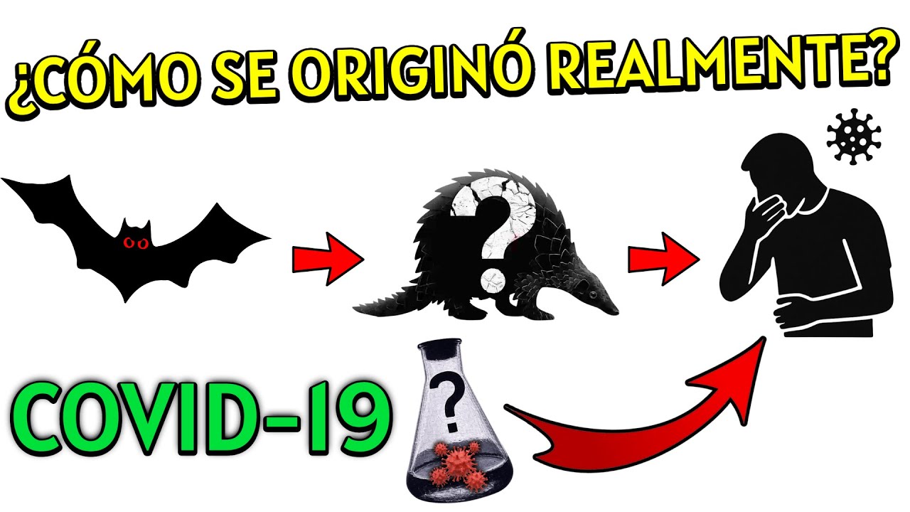 COVID-19 | ¿Cuál fue su VERDADERA CAUSA?🦠