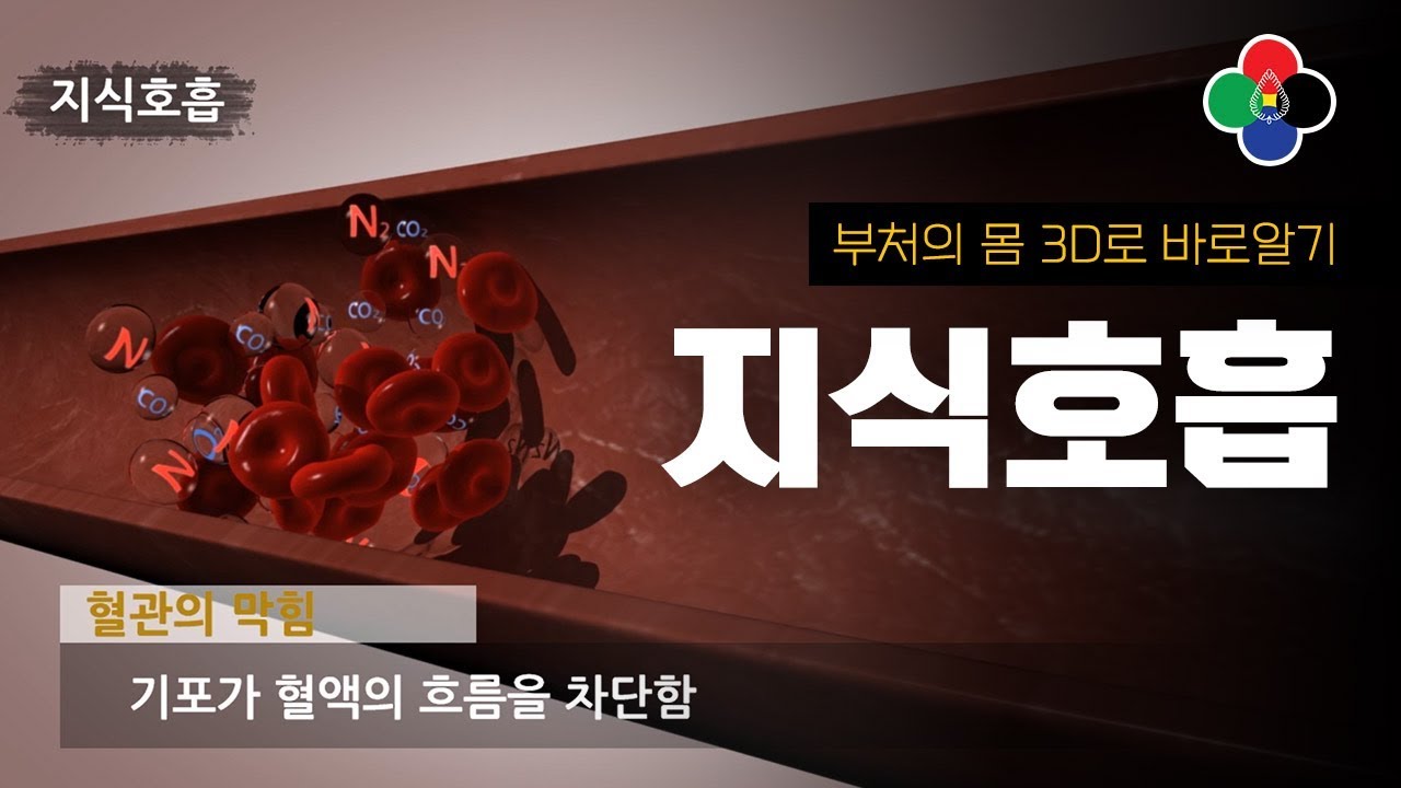 [5]지식호흡(거품피, 관절염, 고혈압, 당뇨병) 바로알기 Holding your breath (arthritis, high blood pressure, diabetes)