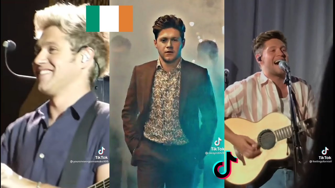 Niall Horan tiktoks for a special man on his special day