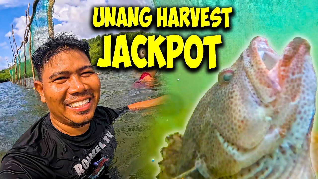 P1 - UNANG HARVEST SA ATING BUNGSOD JACKPOT | THANKS MS @MarielLarsen