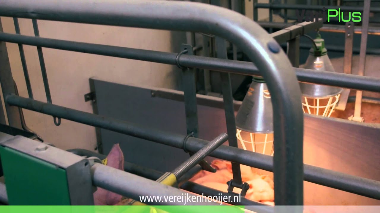 Vereijken PigFlooring | Vari Plus (Deutsch)
