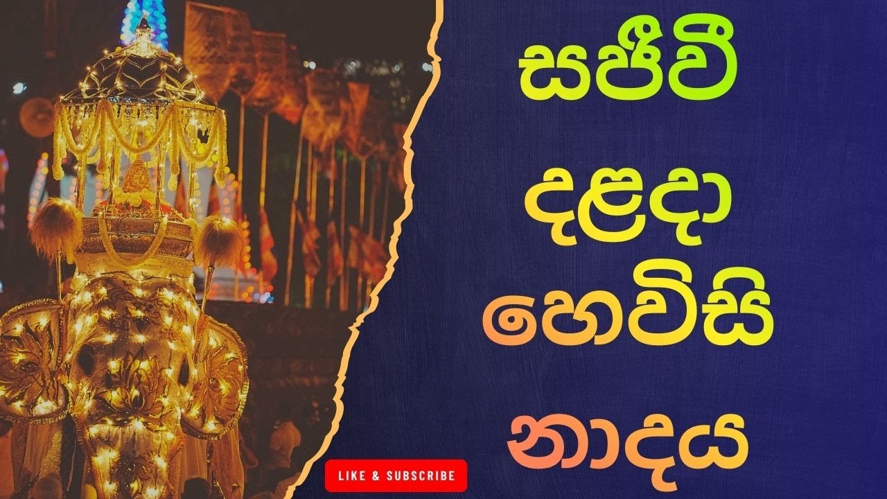 දළදා මාලිගාවේ සවස් තේවා හේවිසි – හදවත පිරිසිදු කරන නාදය 🎵 SIRI DALADA THEWA HEVISI NADAYA