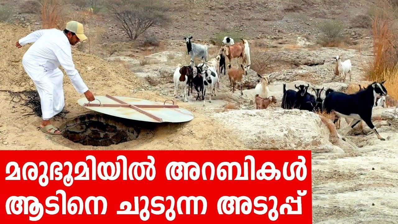 Sancharam | Oman 02 | Santhosh George Kulangara | Safari TV