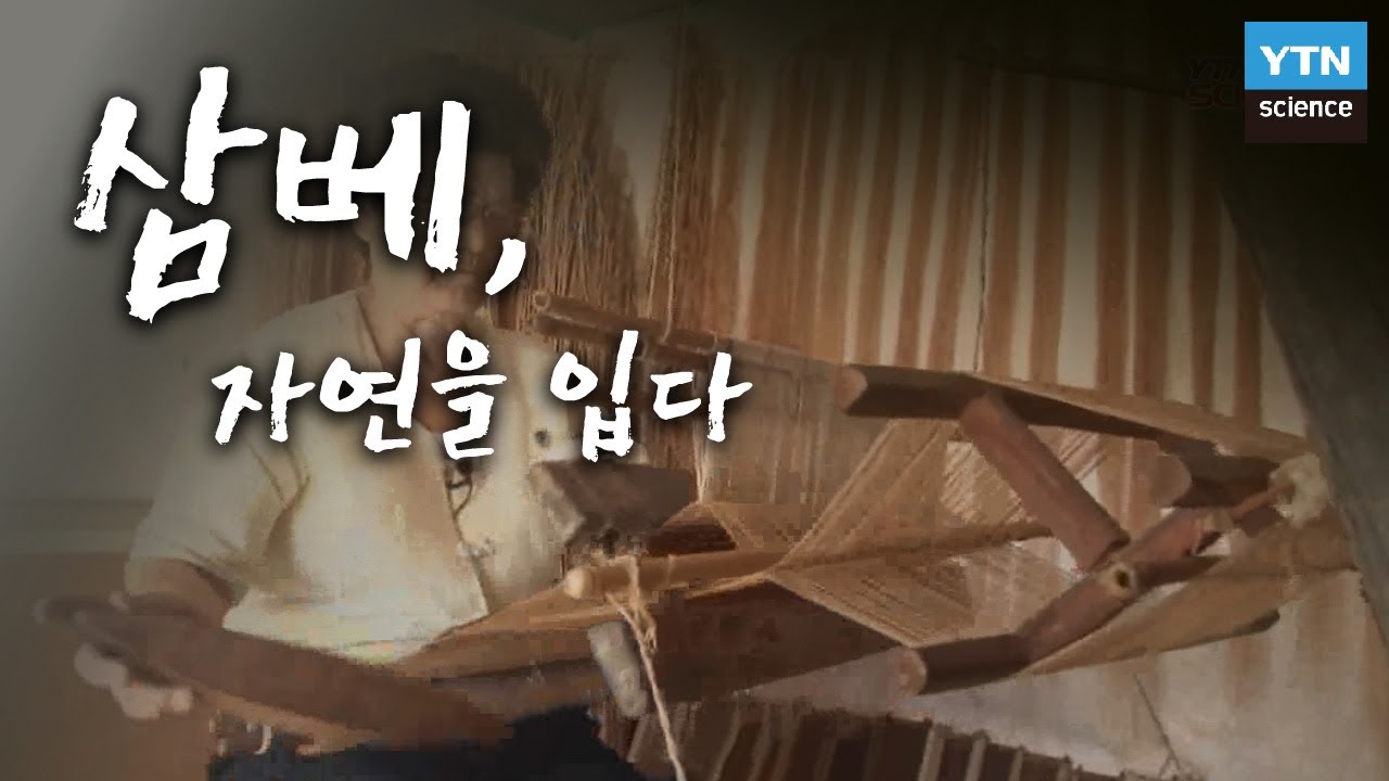 삼베, 자연을 입다 / YTN 사이언스