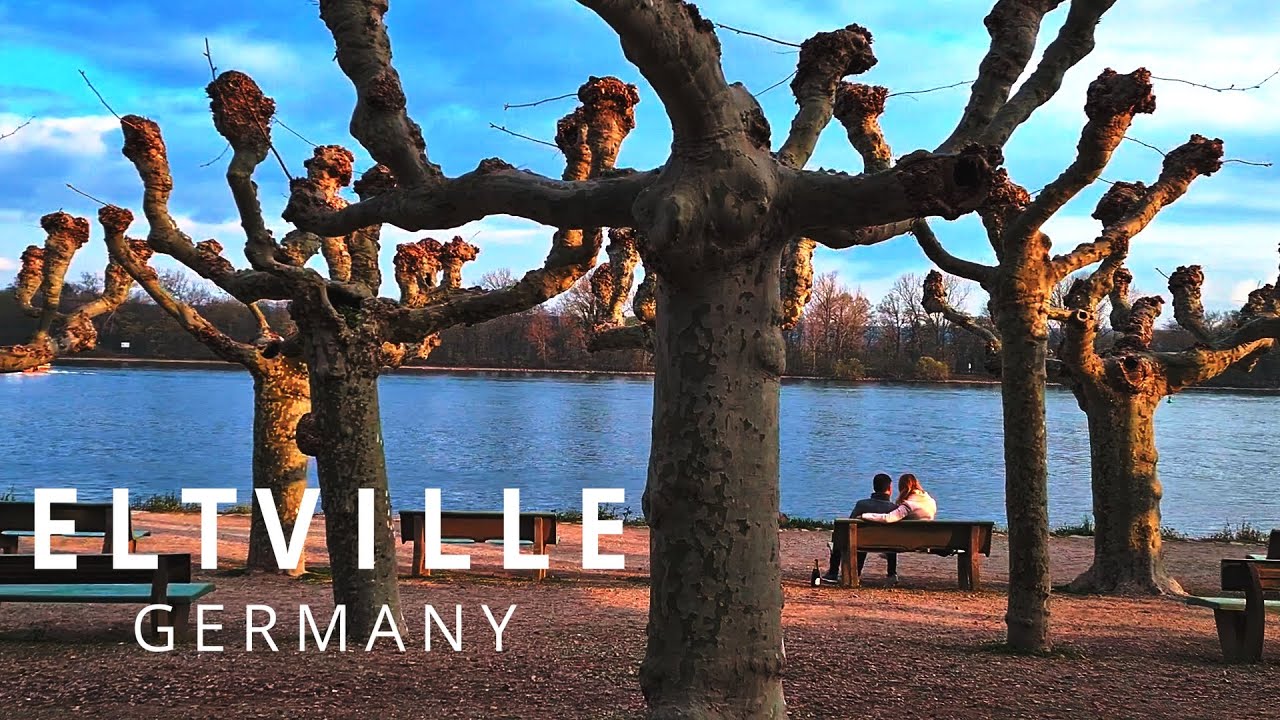 Historical old town ELTVILLE am Rhein