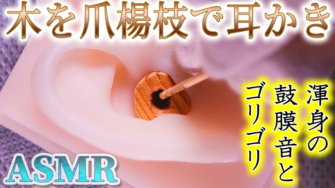 【ASMR】凄過ぎるゴリゴリと鼓膜音の強力耳かき♡温もりのある木の耳穴を爪楊枝で強力に奥深く耳掃除の音♪両耳同時【音好き】DIYのシリコン耳型バイノーラルマイクを使用☆音蜜、渾身の耳かき