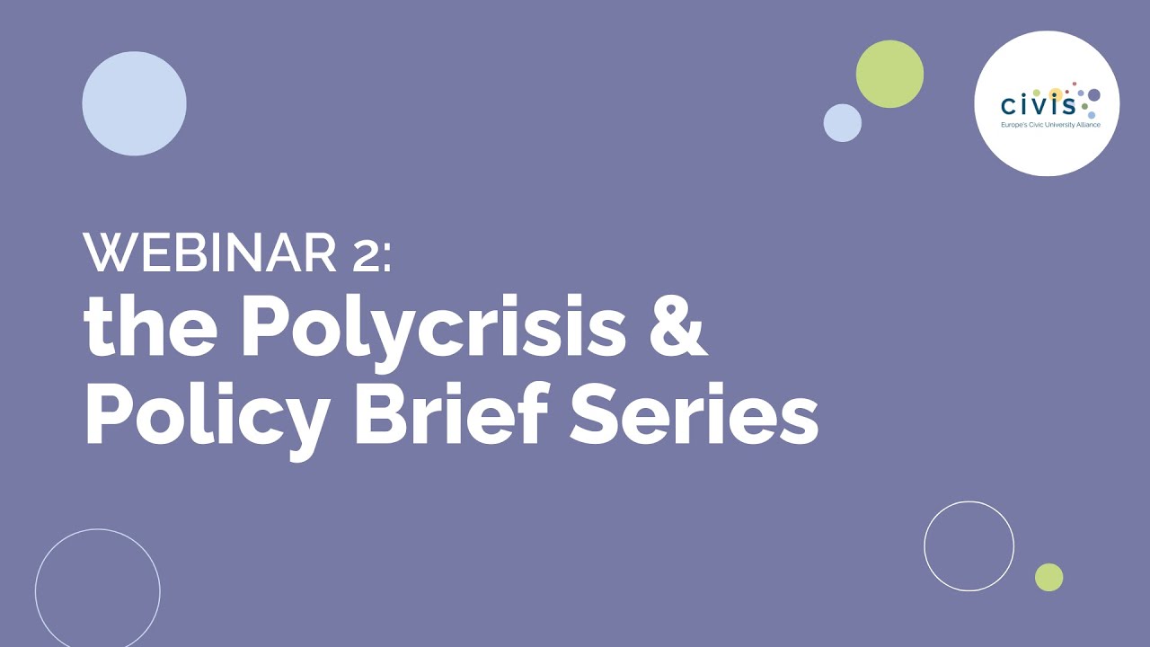 Webinar 2 of the Polycrisis & Policy Brief Series