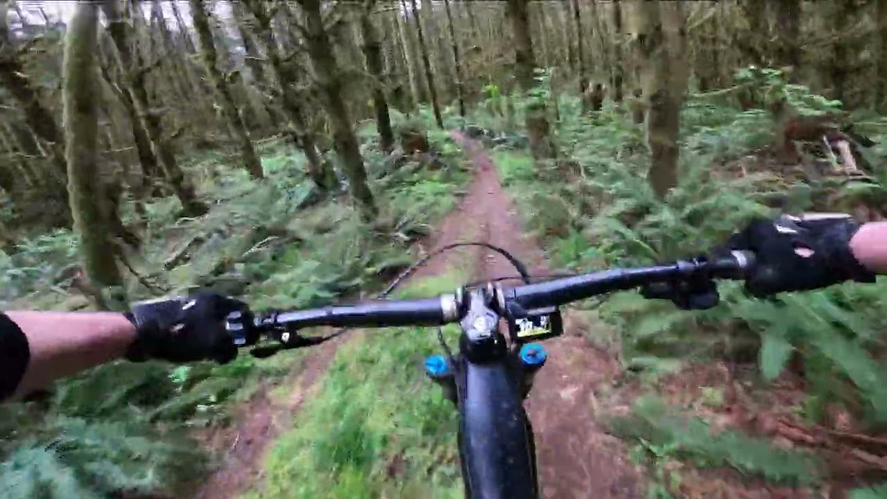 Rocky Point - MTB - The Bus