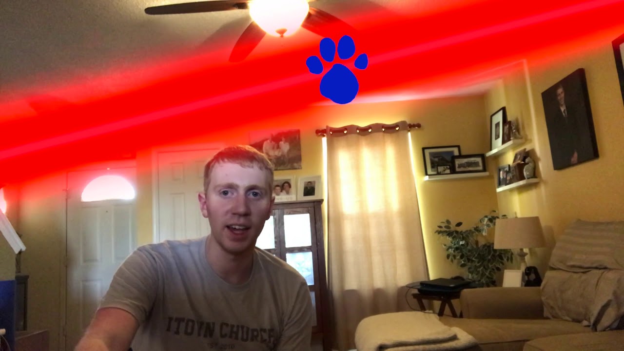 What Fun Thing We Are Going To Do? - Pawprint Cleanup, 3 Clues, & Thinking Time