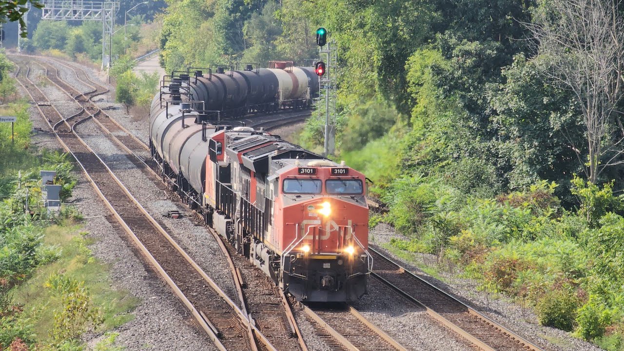 Tuesday Morning at Bayview Junction • September 17, 2024