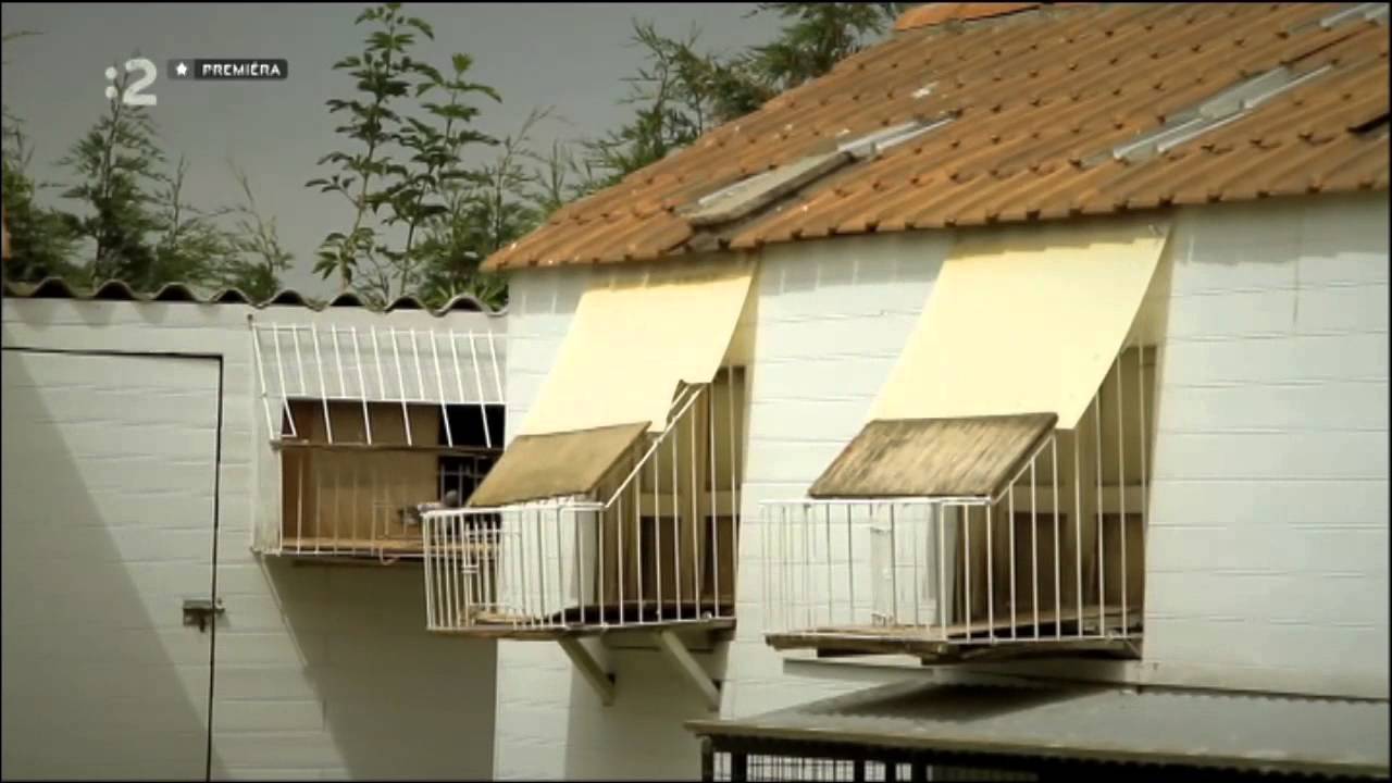 Sever Francuzka dokument serial
