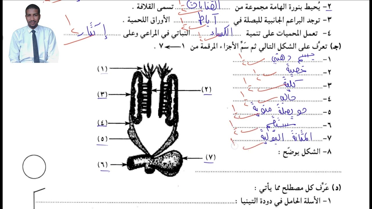 فيديو (٣) من سلسلة كيف 📝⏰🚩 تكتب الإجابة النموذجية في امتحان مادة الأحياء الشهادة السودانية