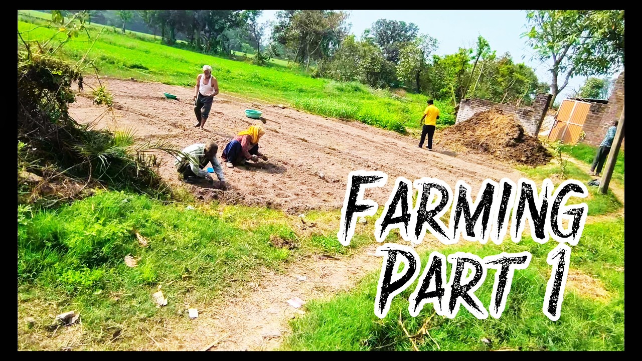 AAJ HAMNE KI FARMING