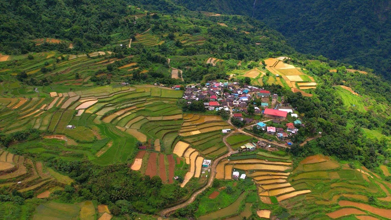 Jaw-Dropping sa GANDA: RICE TERRACES sa ALILEM, ILOCOS SUR? + Diskarte ng LOCAL FARMERS Doon!