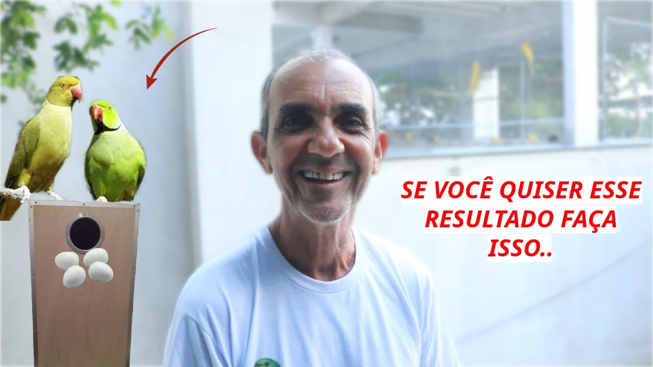 CHEGOU A HORA DE COLOCAR NINHO PARA SEU RING NECK