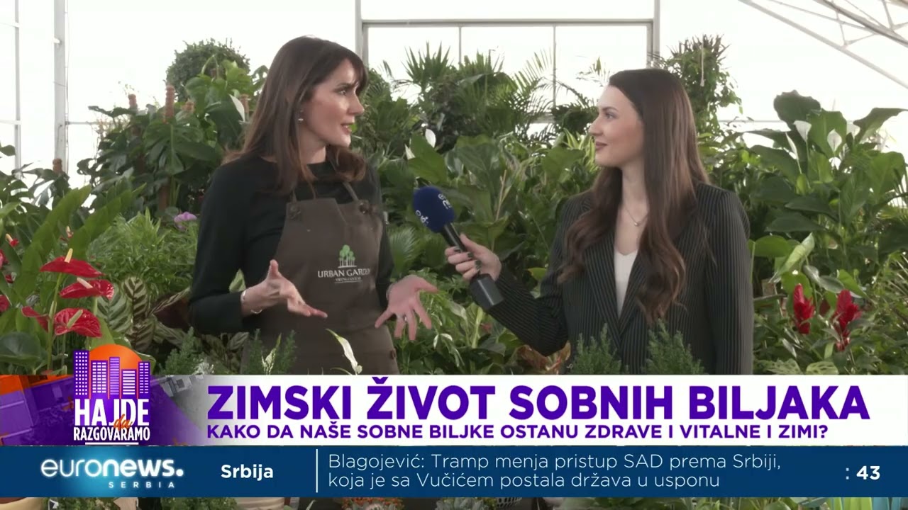 Kako da naše sobne biljke ostanu vitalne i zdrave zimi?