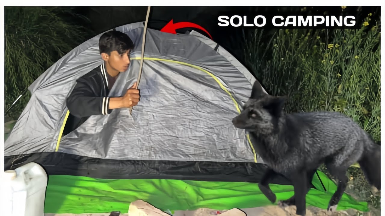 “I Went Solo Camping at Night… Then Wild Animals Attacked 😱”