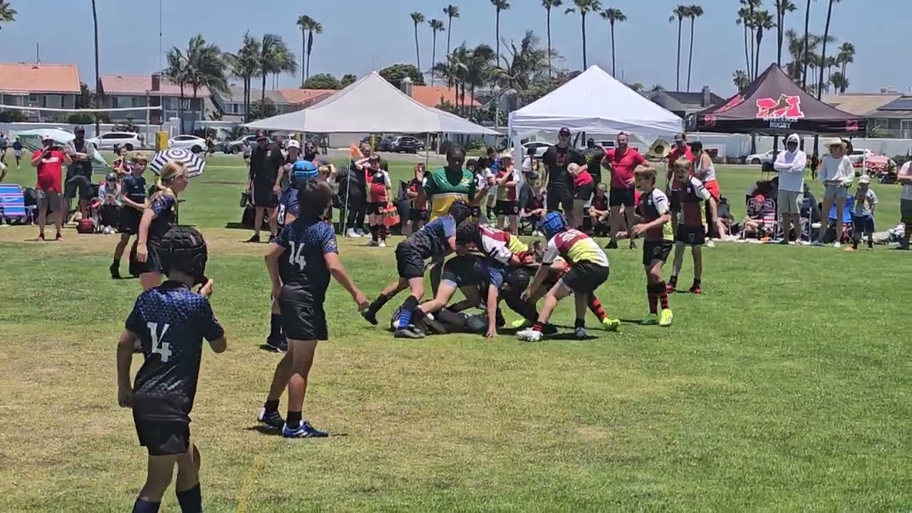 U10 7's Experienced OC Raptors vs Mustangs A Finals week 2 summer 2024