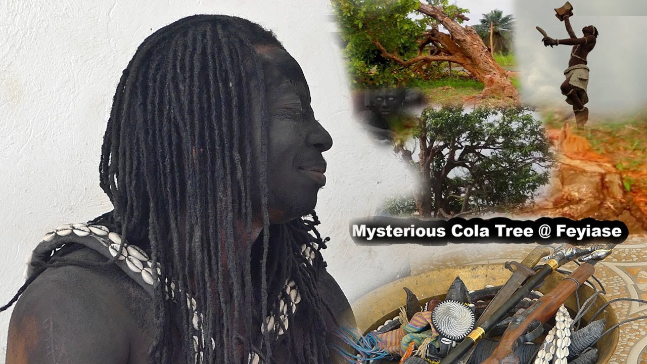 Bosom Sasraku appears again & reveals mysteries about Komfo Anokye Kola Tree & Aduana | SuroWiase