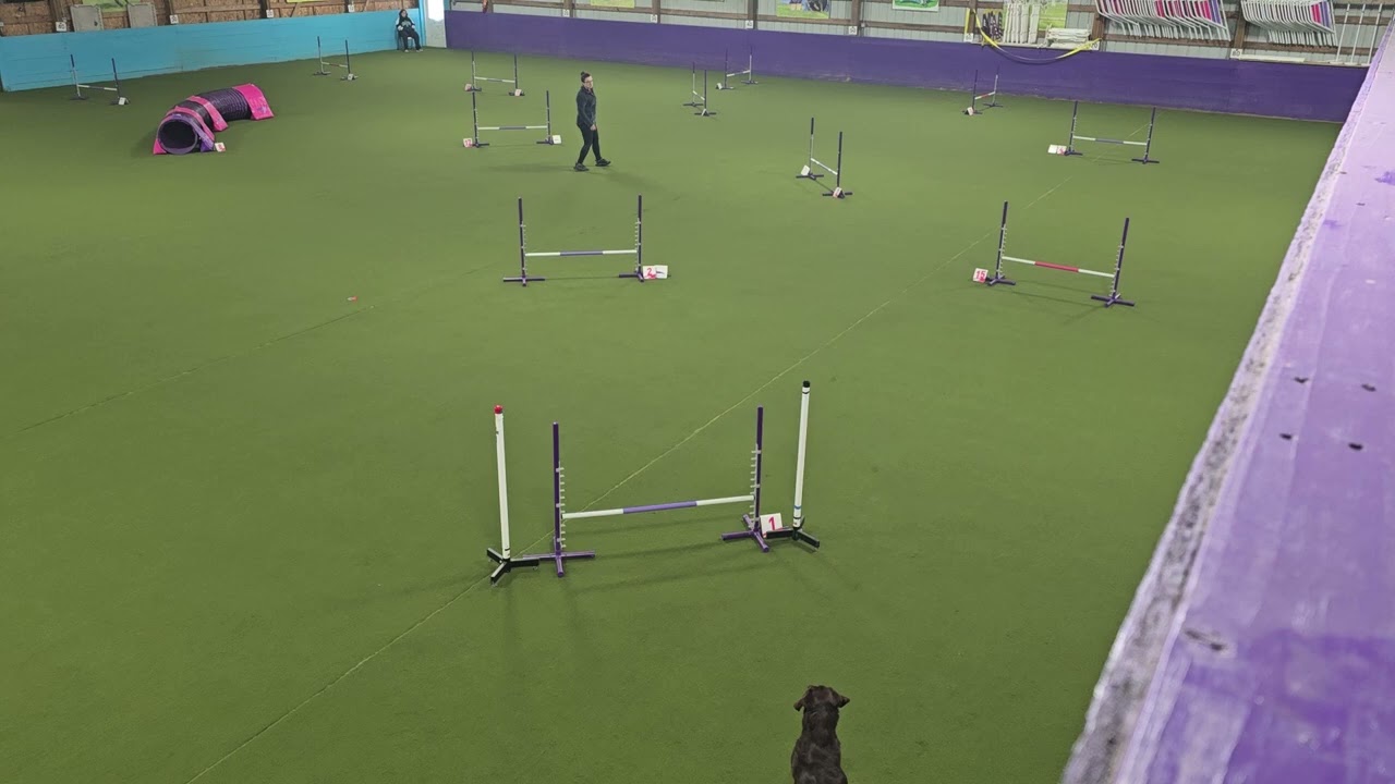 Derby Elite Jumpers Round 1 - January 17, 2026