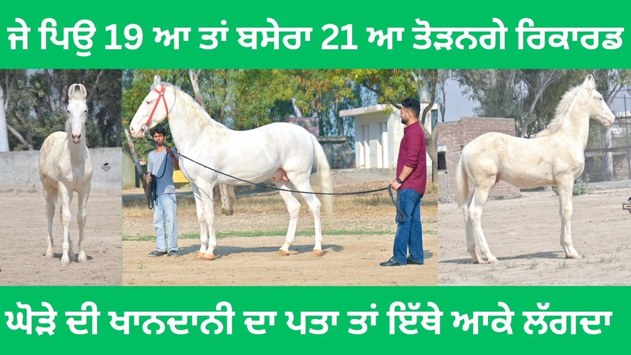 7,8 ਬੱਚੇ ਜਿਹੜੇ ਹੋਰ ਆਏ ਆ ਹੁਣ ਤੱਕ ਉਹਨਾਂ ਤੇ ਵੀ ਨਿਗਾ ਮਾਰਲੋ,ਸਿਰੇ ਲਾਈ ਪਈ ਆ ਕਹਾਣੀ ਹੈ ਗੱਲਬਾਤ ਪੂਰੀ