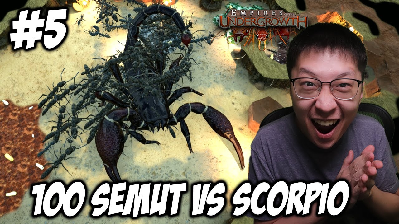 100 Semut Super BESAR VS Kalajengking! - Empires of the Undergrowth Indonesia - Part 5