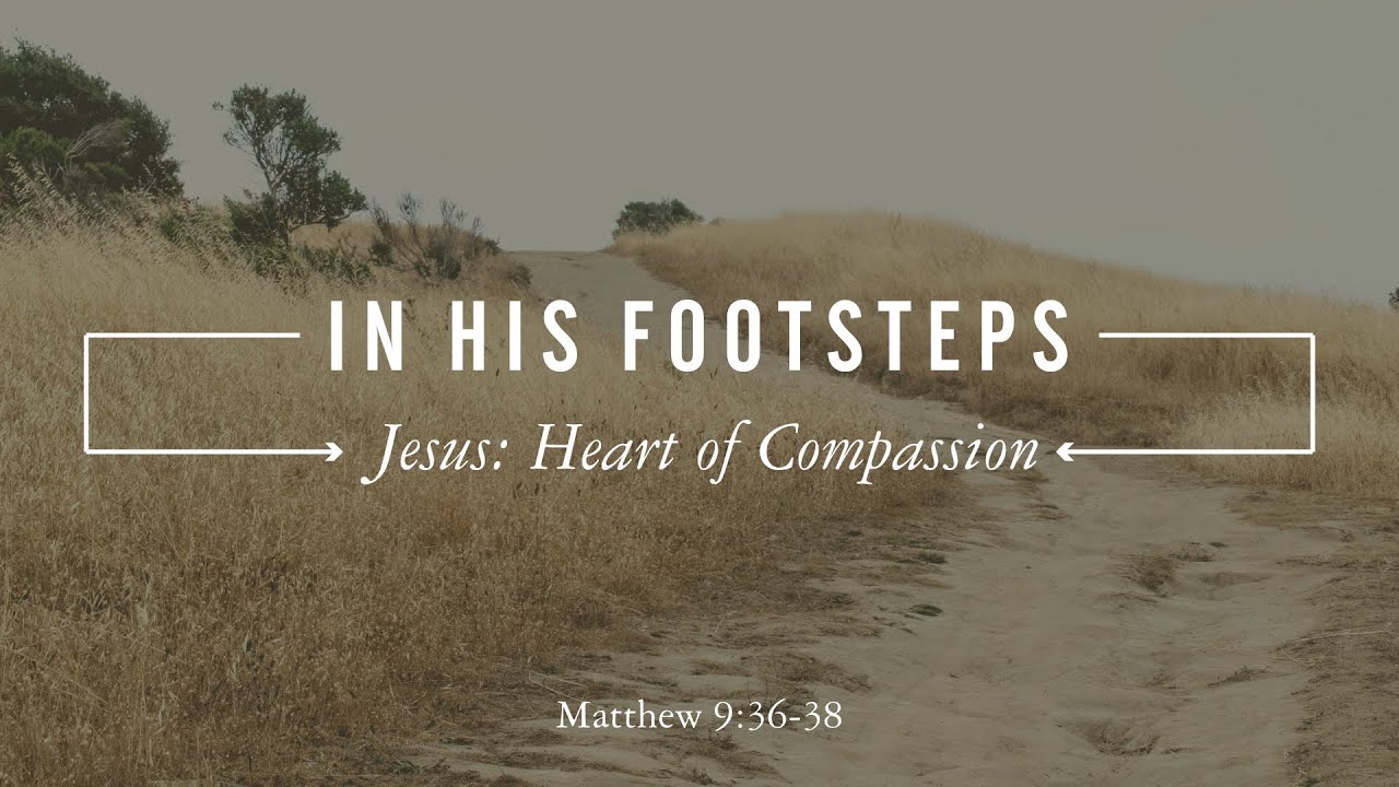 Jesus: Heart of Compassion