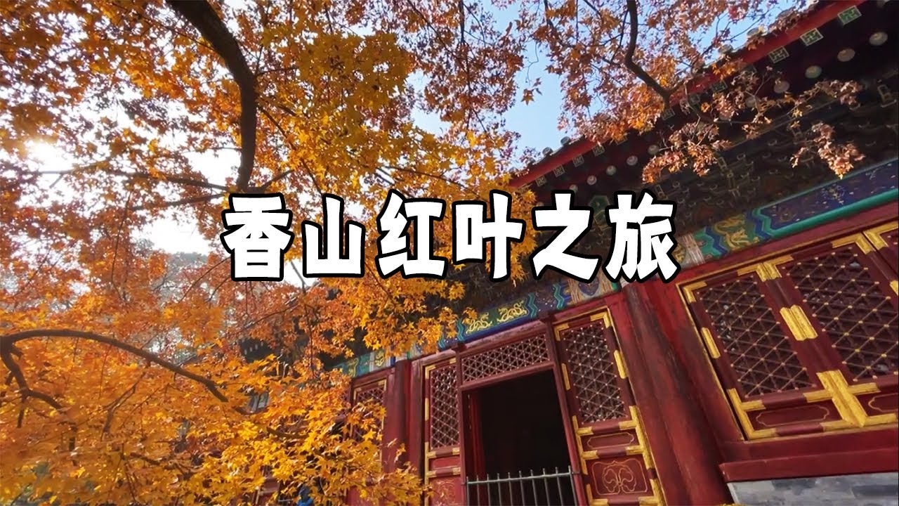 北京赏秋～不容错过的香山，这里不仅仅只有红叶还是皇家园林【行走世界的北京老刘】