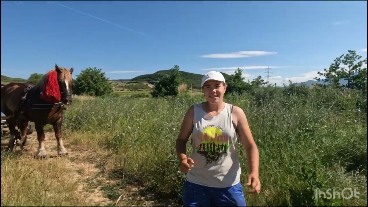 Daiana Cotu Din Livezile🐎Bistrita~Nasaud 🇷🇴Se Imparte Între Facultate și Dragostea pentru Animale