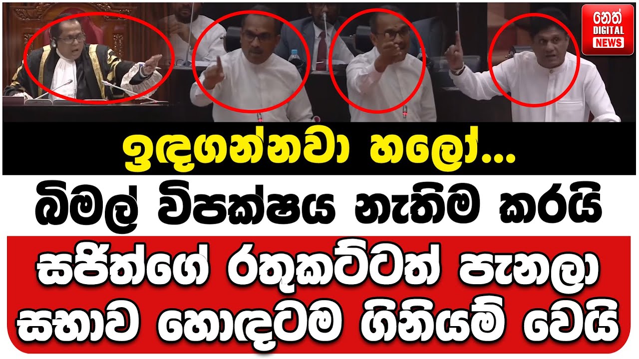 ඉඳගන්නවා හලෝ... | බිමල් විපක්ෂය නැතිම කරයි | සජිත්ගේ රතුකට්ටත් පැනලා | සභාව හොඳටම ගිනියම් වෙයි